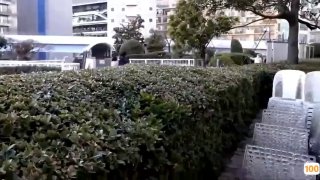 国产在线一区二区三区观⭕❌欧美精品A片XXX⭕❌欧美性猛交XXXX乱大交极品-无码av电影在线观看不卡
